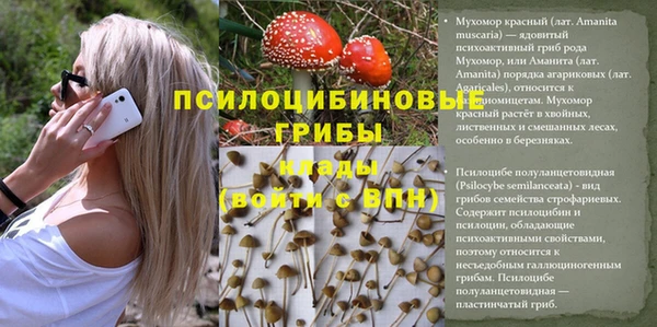 марихуана Баксан