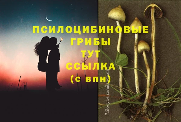 синтетический гашиш Балахна