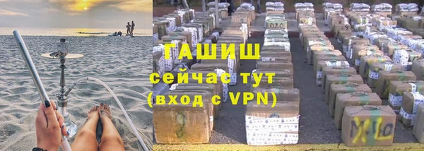 ГАЛЛЮЦИНОГЕННЫЕ ГРИБЫ Аркадак