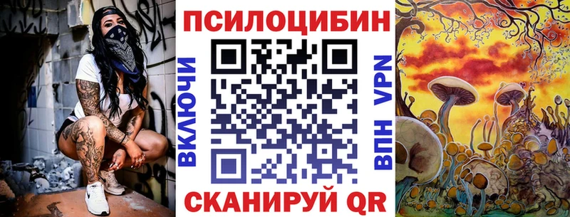 купить наркотик  Ульяновск  OMG ССЫЛКА  Псилоцибиновые грибы GOLDEN TEACHER 